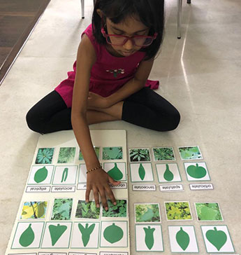 montessori-two